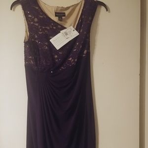 Brand New Semi-Formal Eggplant Dress